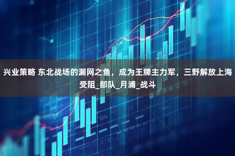 兴业策略 东北战场的漏网之鱼，成为王牌主力军，三野解放上海受阻_部队_月浦_战斗