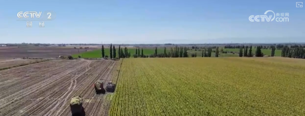 牛8速配 “指尖轻触”智慧耕作 “科技护航+精准服务”夯实秋粮丰产基础